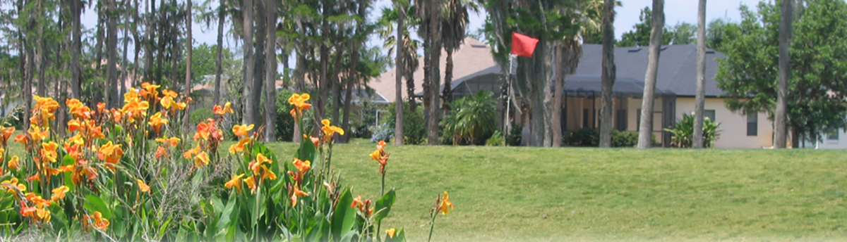 Flowers on Golf Course